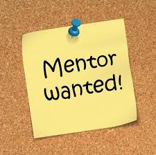 mentor wanted